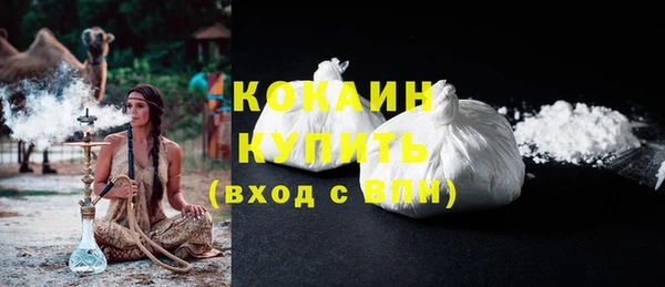 дмт Карпинск