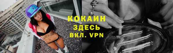 дмт Карпинск