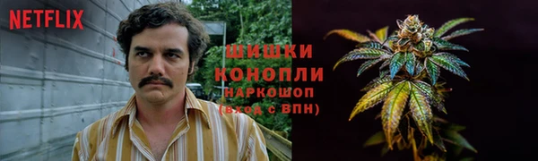 дмт Карпинск