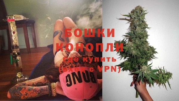 дмт Карпинск