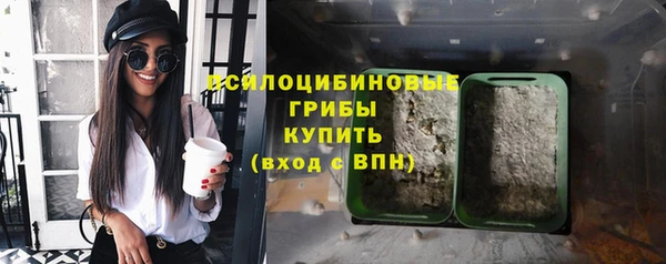 дмт Карпинск