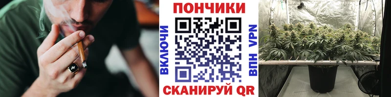 Купить где  Кондопога  Бошки марихуана AK-47 